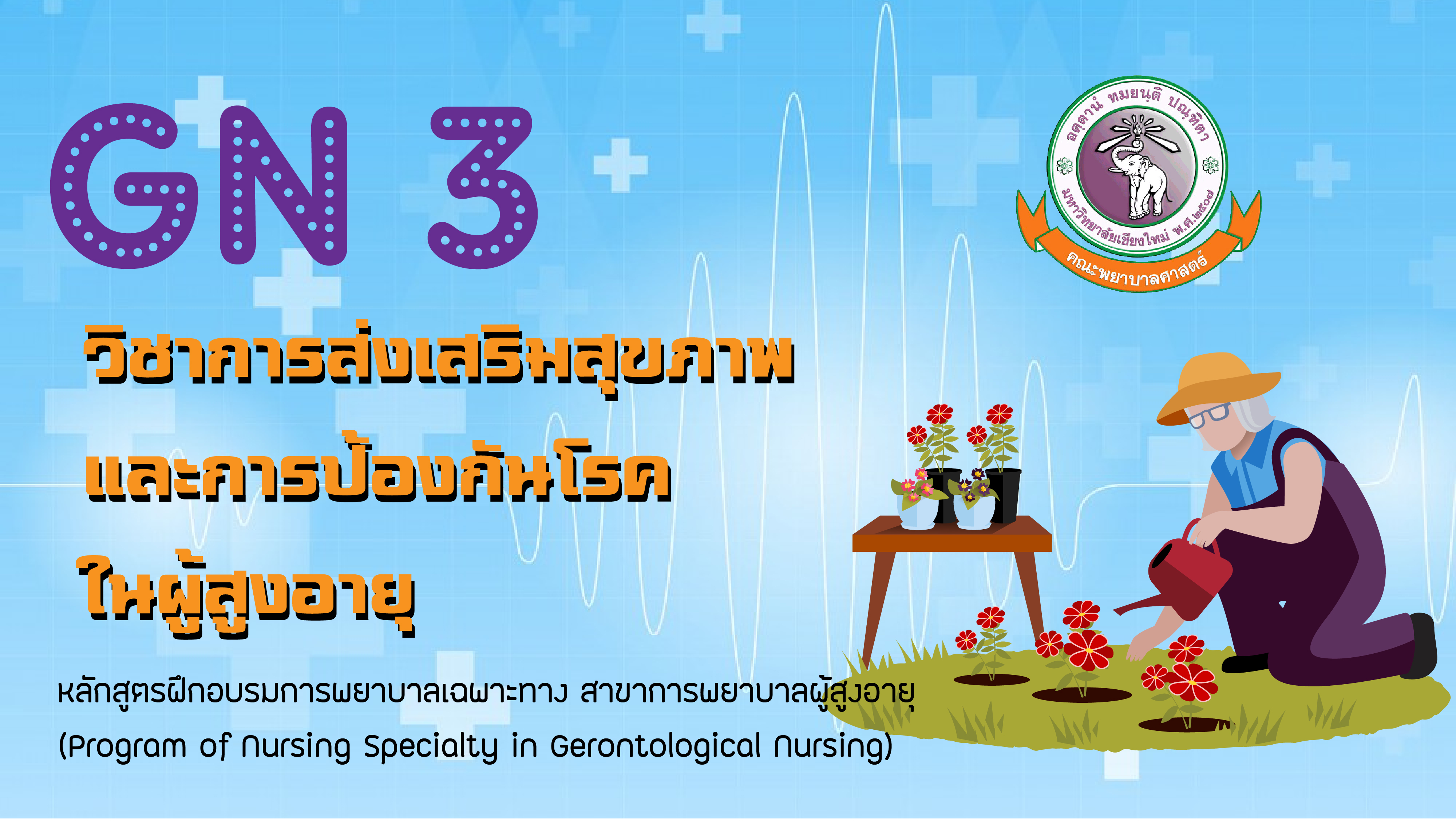 GN 3 : วิชาการส่งเสริมสุขภาพและการป้องกันโรคในผู้สูงอายุ/2563